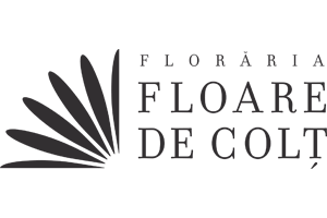 Floare de colt_logo2